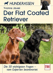 Der Flat Coated Retriever